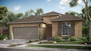 Sherwood - Bonterra at Cross Creek Ranch 50s - Age 55+: Fulshear, Texas - Taylor Morrison