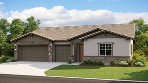 Meadow Plan 13