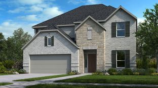 Terracotta - South Oak 50s: Oak Point, Texas - Taylor Morrison