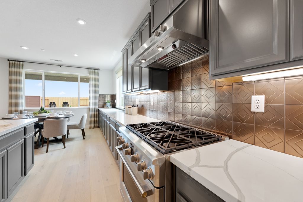 19 Goldeneye Kitchen