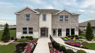 Trinity - Emory Crossing 50s: Hutto, Texas - Taylor Morrison