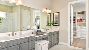 Pallazio Plan - Esplanade at Skye Ranch: Sarasota, Florida - Taylor Morrison
