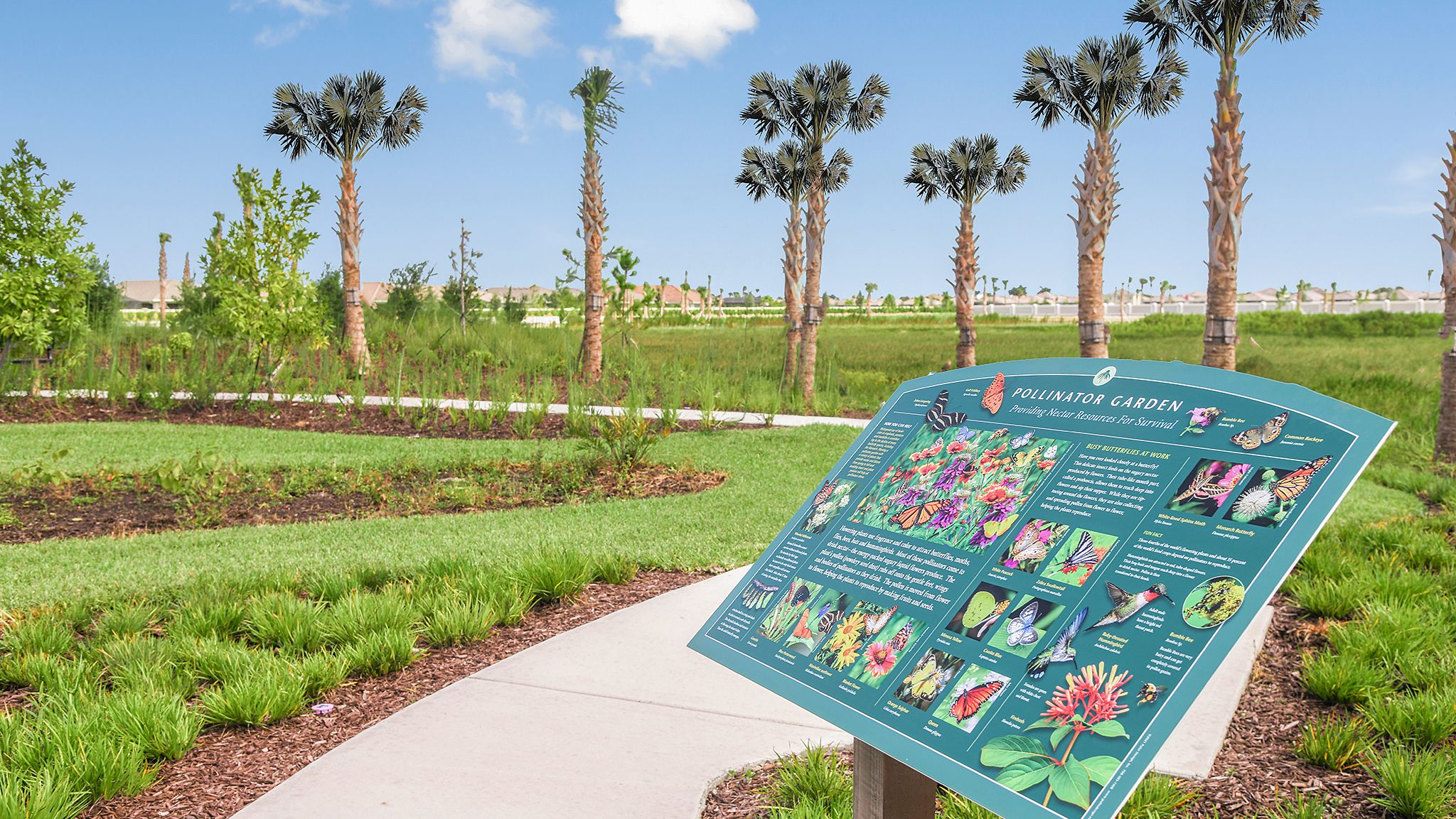 Esplanade-at-Tradition-Tranquility-Park-8306-...