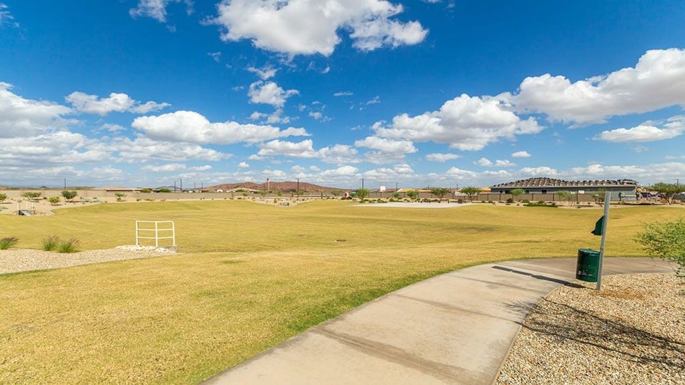 Grassy Area