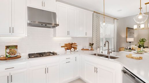 Palmero-Santa-Rosa-6014-16x9 - kitchen