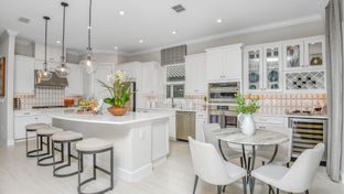 Lazio - Esplanade at Tradition: Port St Lucie, Florida - Taylor Morrison