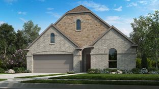 Auburn - South Oak 50s: Oak Point, Texas - Taylor Morrison
