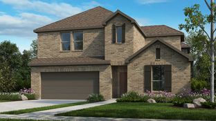 Cabernet - Cross Creek Meadows 55s: Celina, Texas - Taylor Morrison