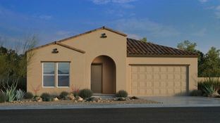 Albany - Combs Ranch Landmark Collection: San Tan Valley, Arizona - Taylor Morrison