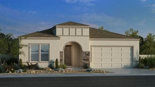 Albany - Combs Ranch Landmark Collection: San Tan Valley, Arizona - Taylor Morrison