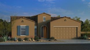 Hillary - Combs Ranch Landmark Collection: San Tan Valley, Arizona - Taylor Morrison