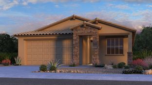 Edmonton - Paradisi Discovery Collection: Surprise, Arizona - Taylor Morrison