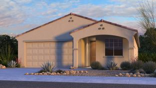Harlow - Paradisi Discovery Collection: Surprise, Arizona - Taylor Morrison
