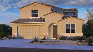 Pinnacle - Paradisi Encore Collection: Surprise, Arizona - Taylor Morrison