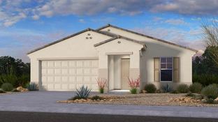 Sterling - Paradisi Encore Collection: Surprise, Arizona - Taylor Morrison