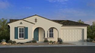 Appaloosa - Paradisi Venture II Collection: Surprise, Arizona - Taylor Morrison