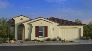 Palomino - Paradisi Venture II Collection: Surprise, Arizona - Taylor Morrison