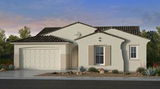 Shire - Paradisi Venture II Collection: Surprise, Arizona - Taylor Morrison