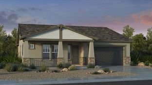 Cambridge - Ellsworth Ranch Landmark Collection: Queen Creek, Arizona - Taylor Morrison