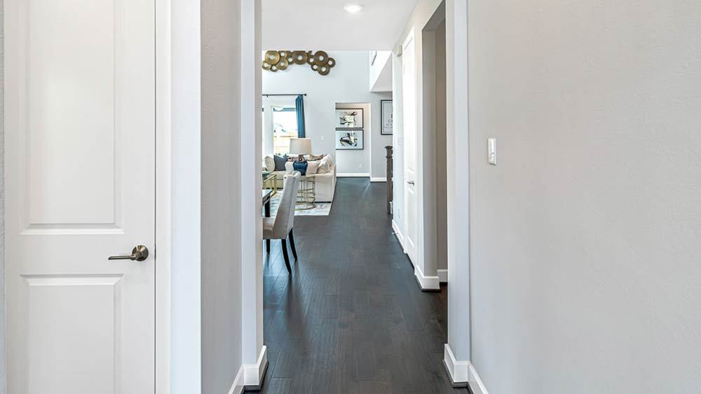 5-TM-Camelia  50s AV Cypress-20221018