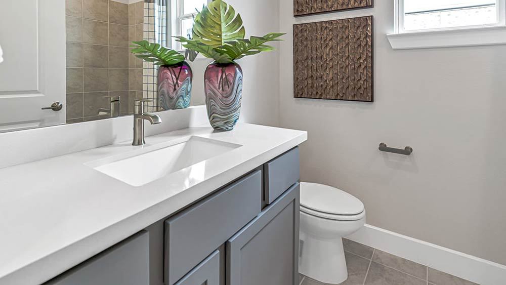 6-TM-Camelia  50s AV Cypress-20221018