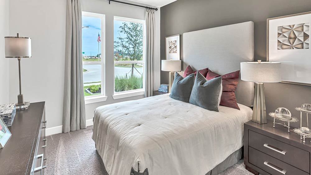 8-TM-Camelia  50s AV Cypress-20221018