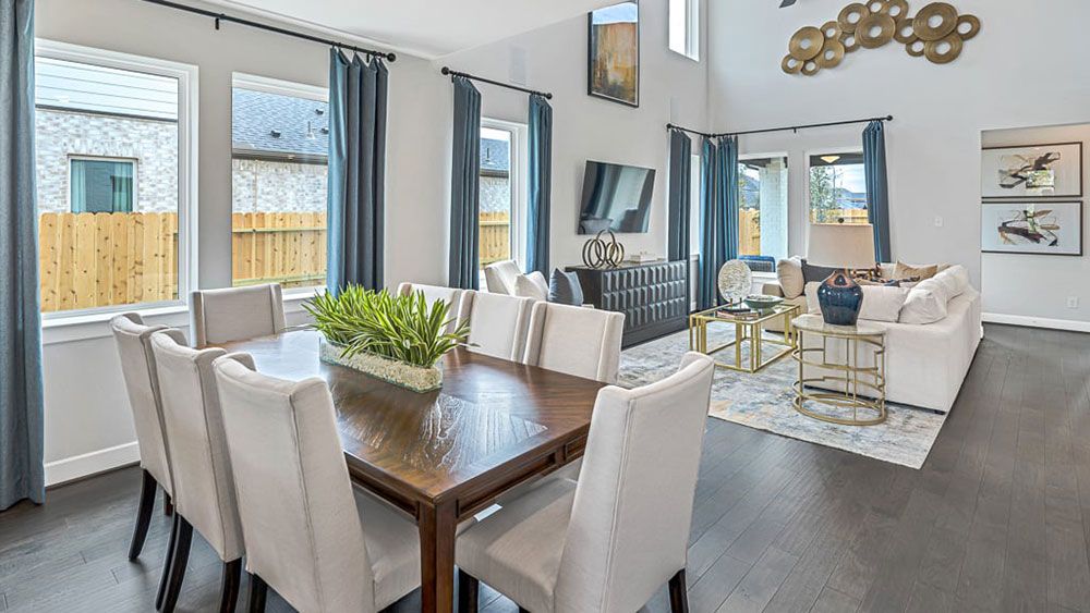 17-TM-Camelia  50s AV Cypress-20221018