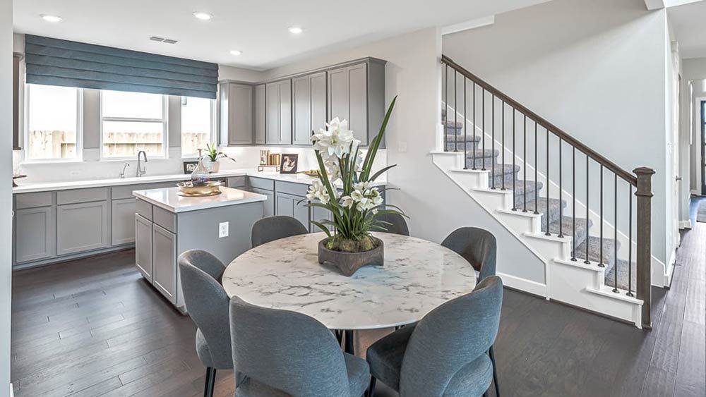 34-TM-Camelia  50s AV Cypress-20221018