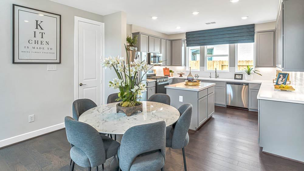 35-TM-Camelia  50s AV Cypress-20221018