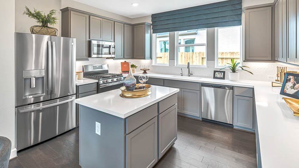 36-TM-Camelia  50s AV Cypress-20221018