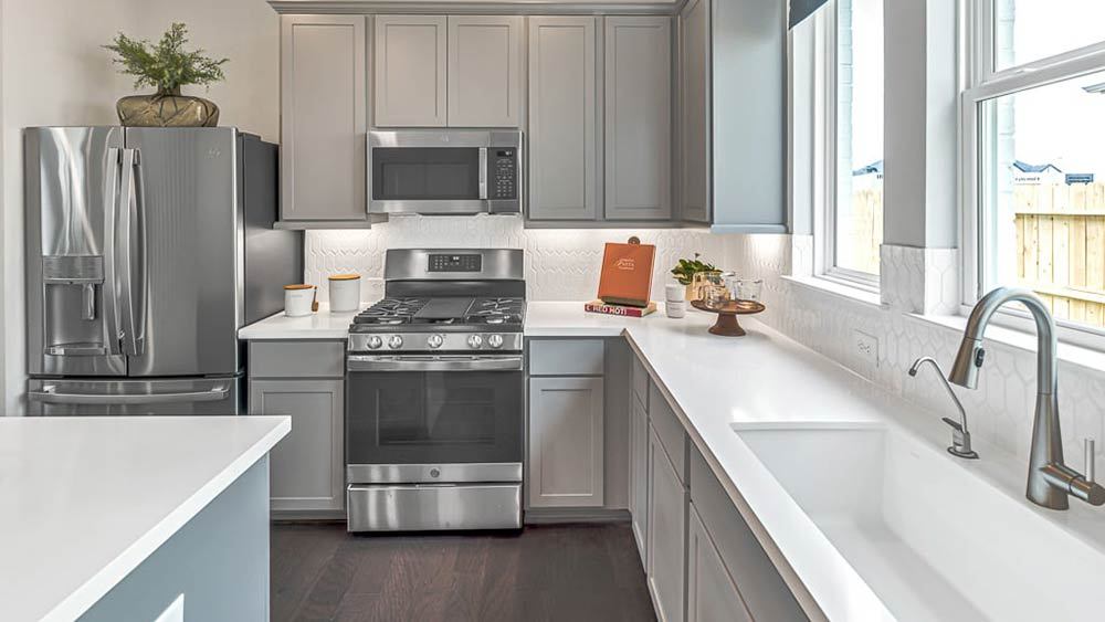 38-TM-Camelia  50s AV Cypress-20221018