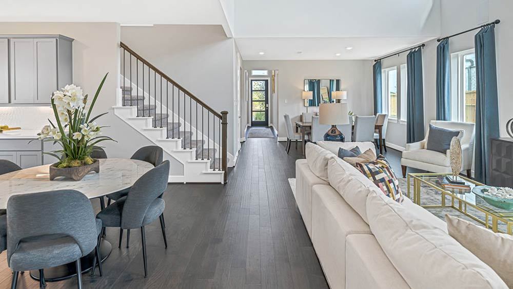 40-TM-Camelia  50s AV Cypress-20221018