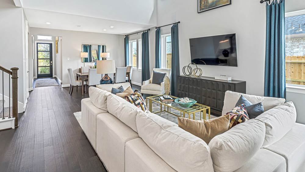 43-TM-Camelia  50s AV Cypress-20221018