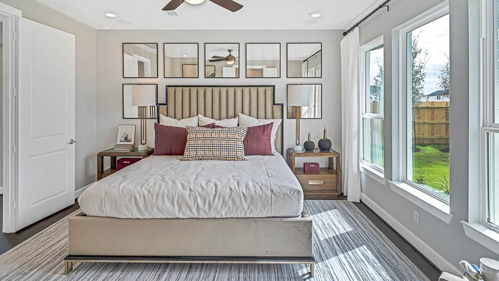 52-TM-Camelia  50s AV Cypress-20221018