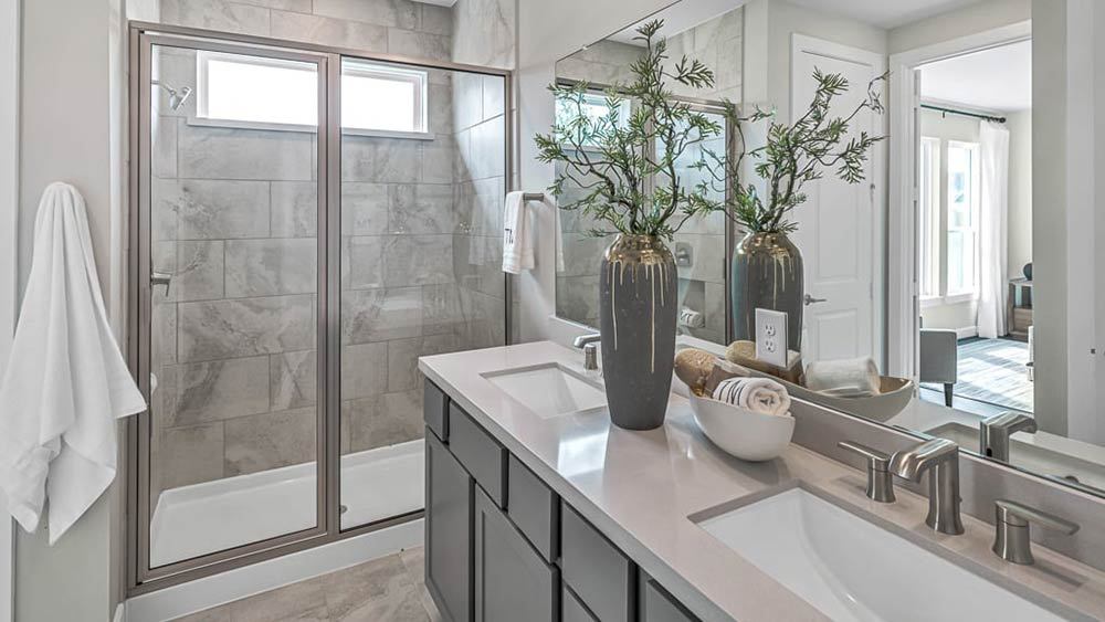 55-TM-Camelia  50s AV Cypress-20221018