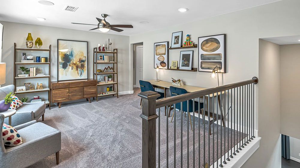 59-TM-Camelia  50s AV Cypress-20221018