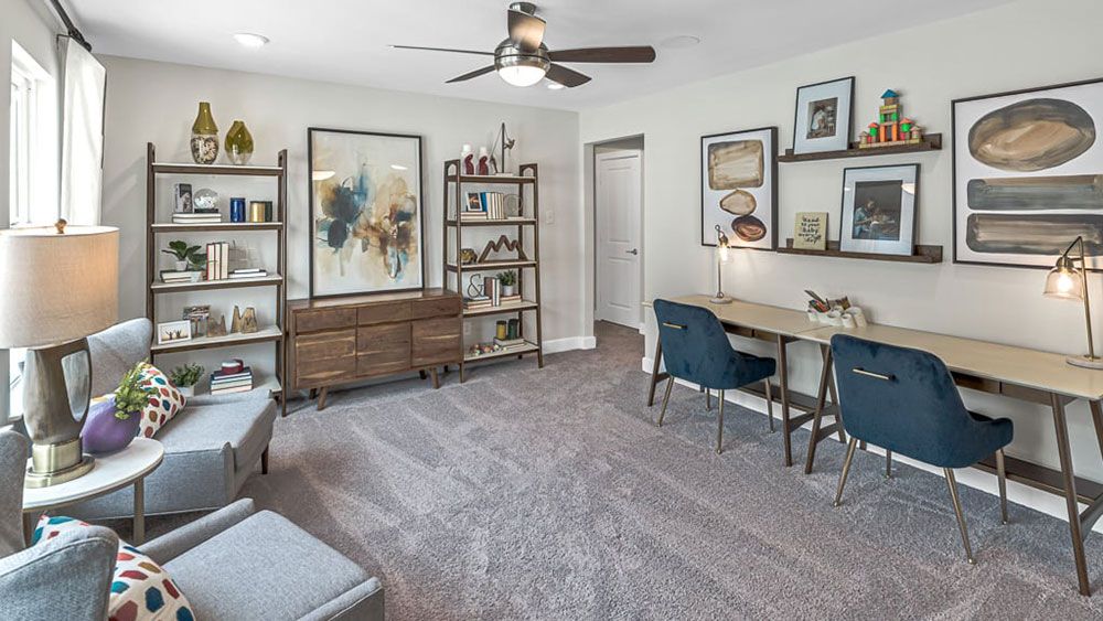 60-TM-Camelia  50s AV Cypress-20221018