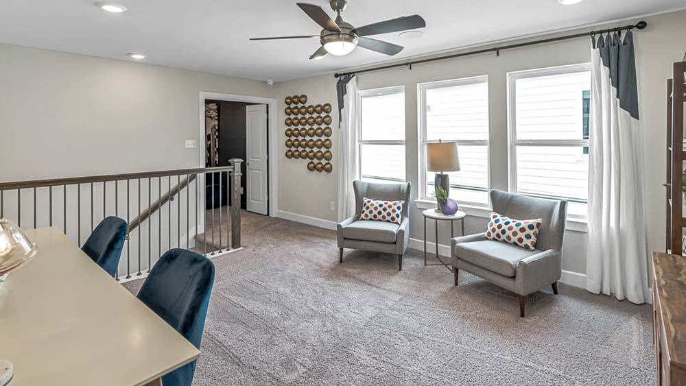 61-TM-Camelia  50s AV Cypress-20221018