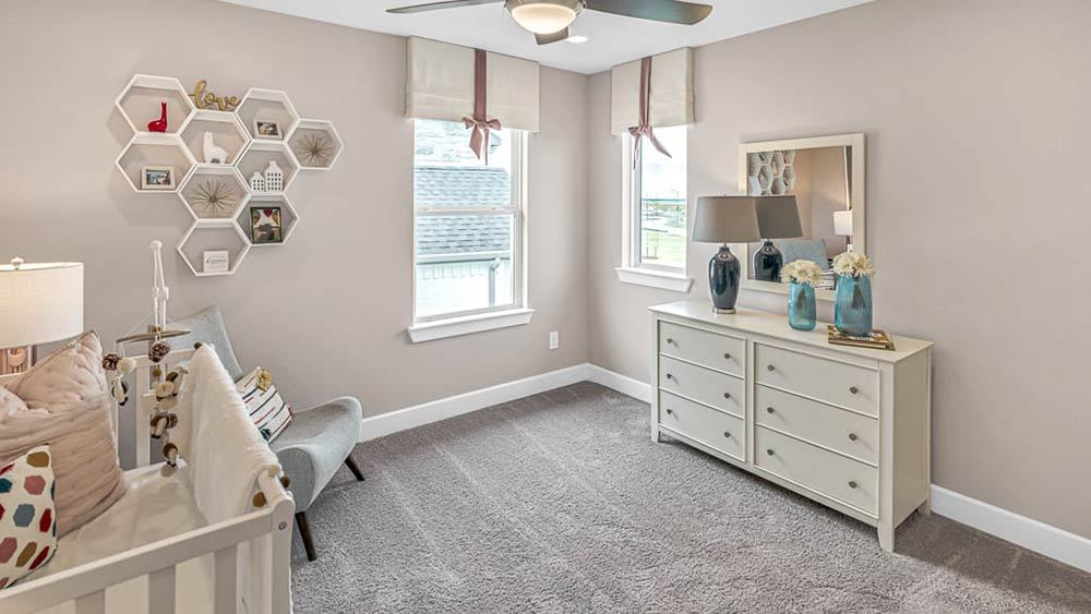 62-TM-Camelia  50s AV Cypress-20221018