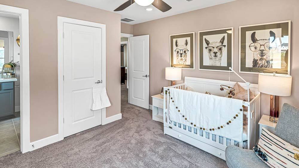 63-TM-Camelia  50s AV Cypress-20221018