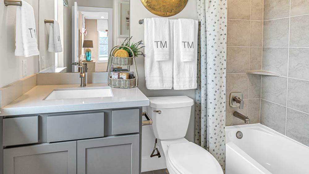 65-TM-Camelia  50s AV Cypress-20221018