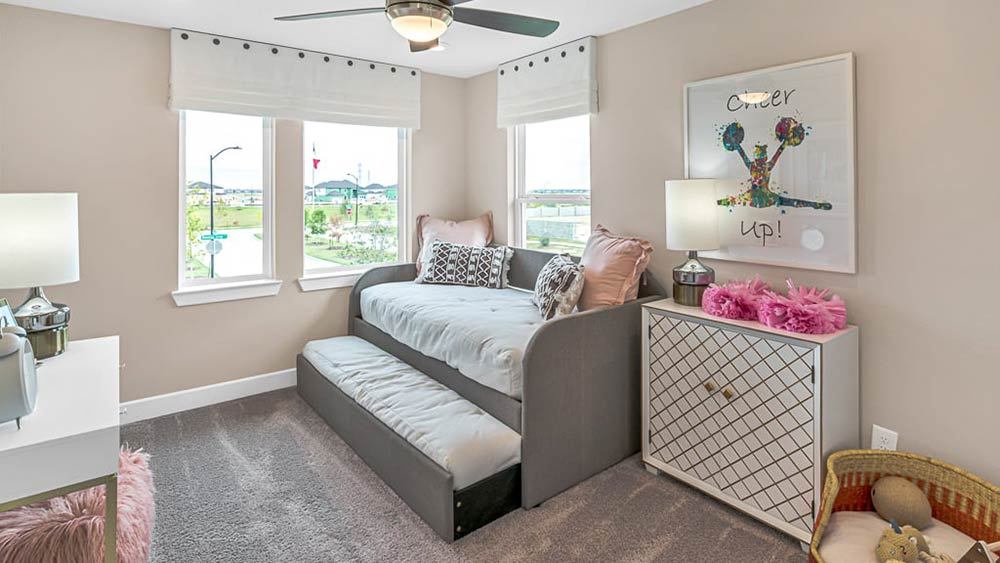 66-TM-Camelia  50s AV Cypress-20221018