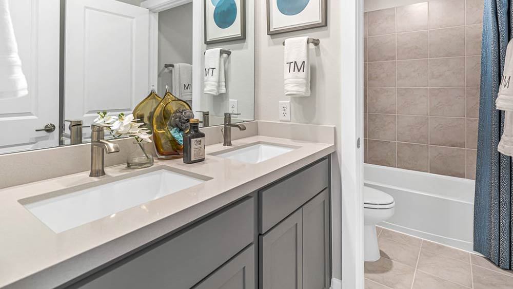 70-TM-Camelia  50s AV Cypress-20221018