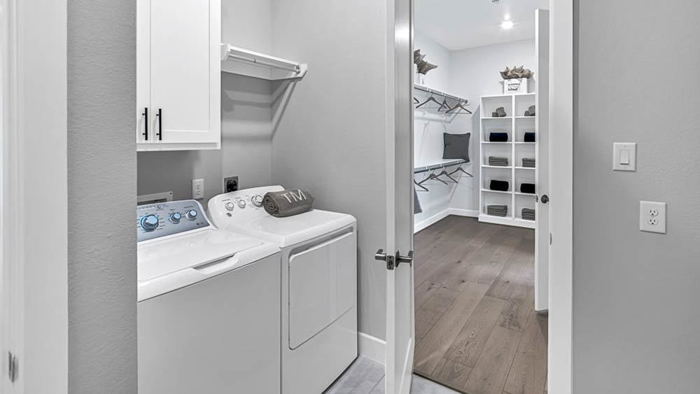 24-TM-Topaz  60s AV Cypress-20221018