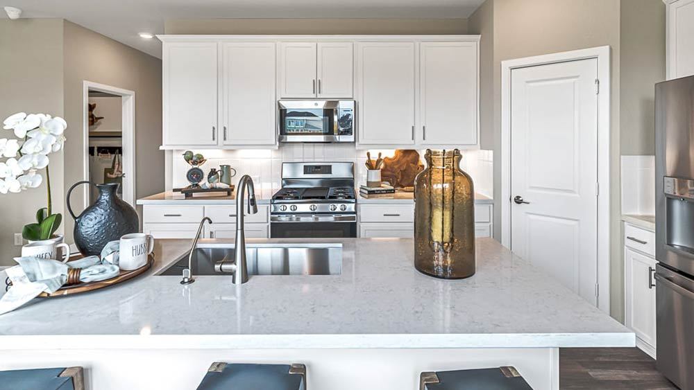 14-TM-4209  40s AV Cypress-20221018