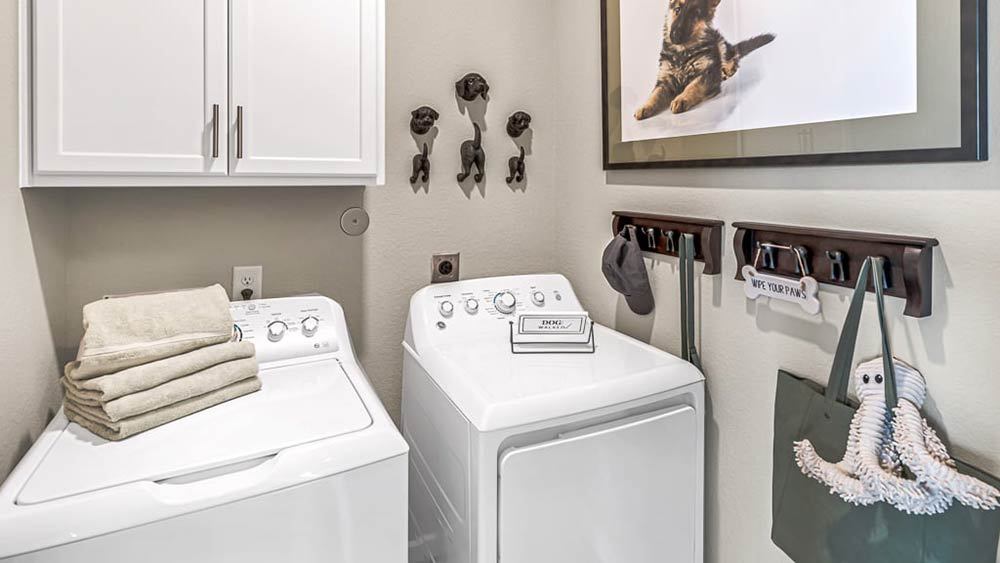50-TM-4209  40s AV Cypress-20221018