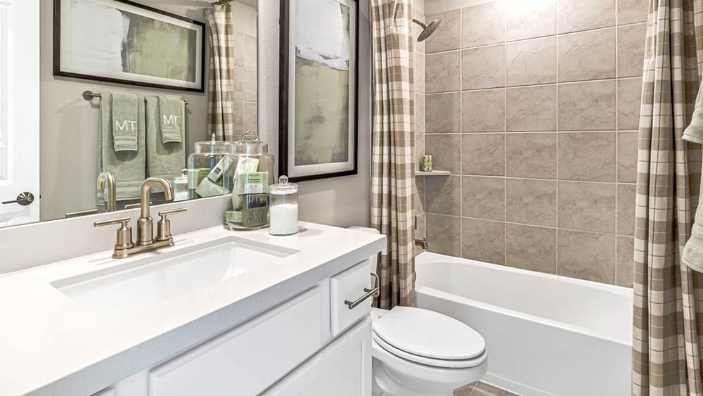 66-TM-4209  40s AV Cypress-20221018