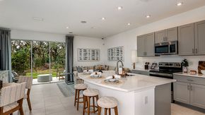 The Townhomes at Skye Ranch - Sarasota, FL
