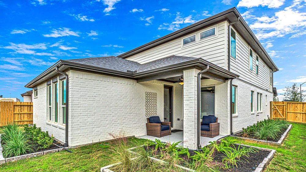 72-TM-Camelia  50s AV Cypress-20221018