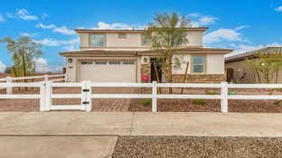 Redwood - Paradisi Encore Collection: Surprise, Arizona - Taylor Morrison